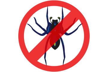 Exterminar plaga de arañas y tarántulas. 