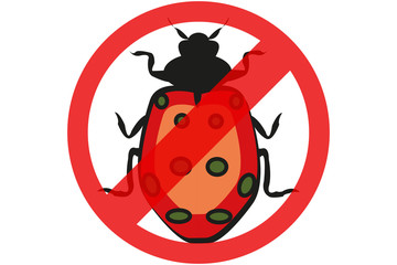 Exterminar plaga de escarabajos. 