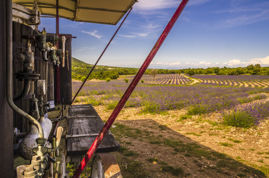 vieux distillateur de lavande avec vue sur champs de lavande