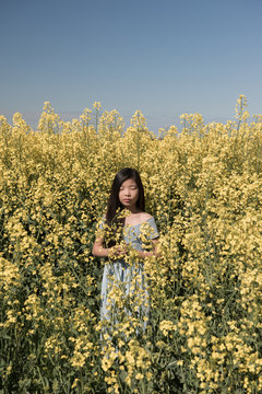 Girl standing in field of yellow flowers