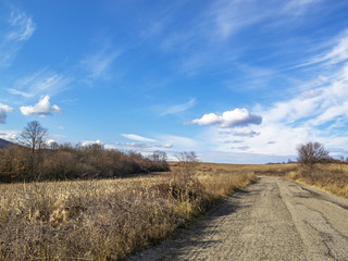 Fototapeta na wymiar Empty Bulgarian asphalt country road vanishes through winter dry cereal fields