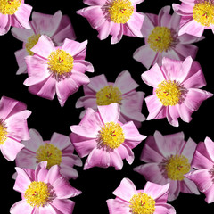 Beautiful floral background of pions 