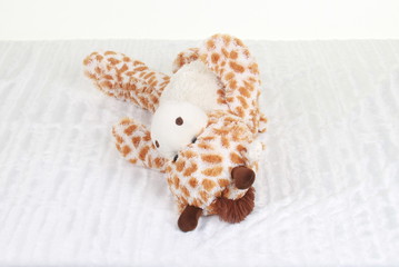 grand nounours peluche marron blanc