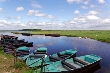 barques en brière