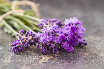 The lavender flowers.