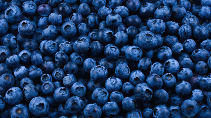 Fresh blueberry background. Texture blueberry berries close up.