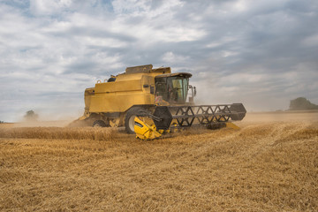 Harvester machine working in field. Combine harvester agriculture machine harvesting golden ripe...