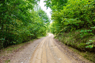 Fototapeta na wymiar Rural countryside unpaved road passing through a beautiful green forest in Transylvania region of Romania