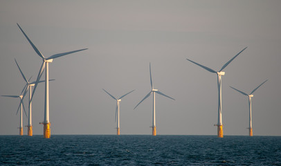 Offshore wind farm, Thames estuary. 