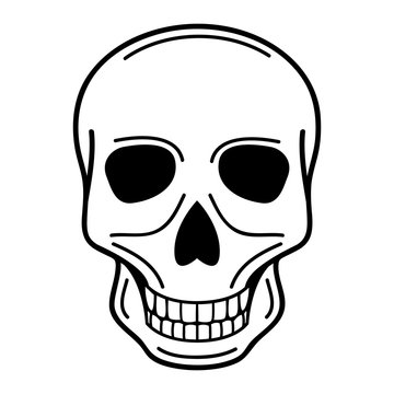 vector illustration of human skull on isolated background
