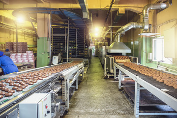 Automated production line and conveyor belt at modern bakery factory interior. Machines and...