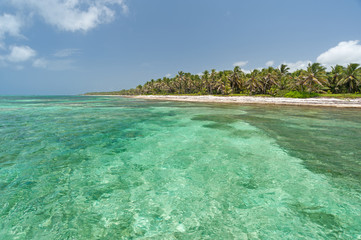 Caribbean beach near Punta Cana, Dominican Repuböic