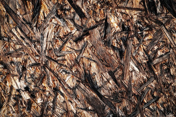 abstract surface wood fibreboard