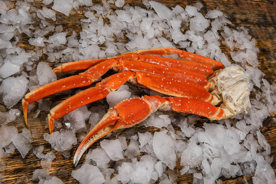 Crab of Kamchatka  Royal Crab