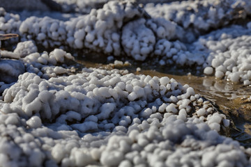 Details of some cauliflower like salt formation, Parajd, Transylvania, Romania