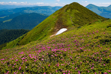 Mountain trail leading along green ridge