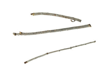 Dry tree branch isolated on white background.