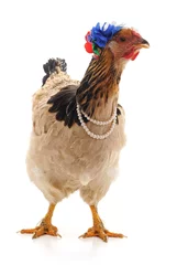 Printed roller blinds Chicken Chicken in a necklace.
