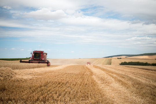 Tracteur et Champs de bl&eacute;