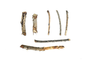 Dry tree branch isolated on white background.