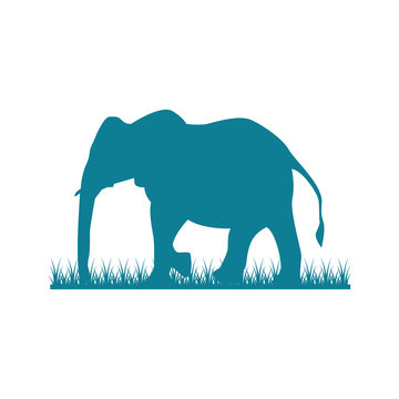 Big Elephant Walking on Grass Illustration