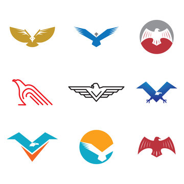 Bird and Eagle Logo Symbol Collection