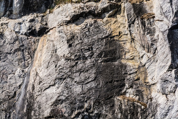 A wide variety of marble patterns in nature