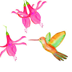Watercolor of pink flowers with a bird on a white background.