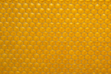 beecomb texture close up - the detail