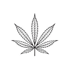 illustration of marijuana or cannabis leaf isolated on white background