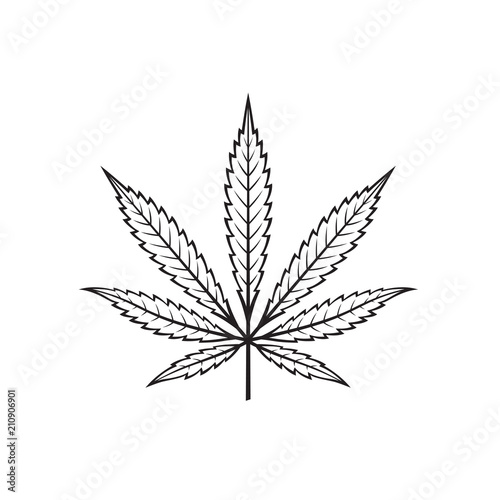 CBD OIL SYRINGE