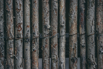 Fototapeta premium tight up wooden sticks