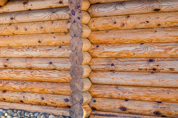 Wall from logs, closeup