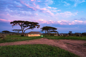 Expedition tents in savannah in the morning