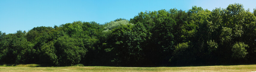 Green Nature Landscape Park Trees Blue Sky Relax Summer 