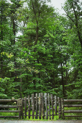 Country fence and sign with forest in background