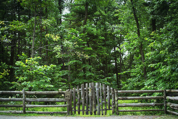 Log fence with sign near forest