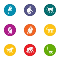 Prankster icons set. Flat set of 9 prankster vector icons for web isolated on white background