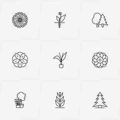 Plants line icon set with decorative plants, plant root and plants