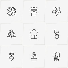 Plants line icon set with cactus in pot , oak  and plants in pot