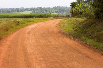A dirt track road in a rural country. Shot somewhere off Buikwe, Uganda in June 2017.
