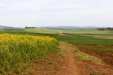A rural landscape. Shot somewhere off Buikwe, Uganda in June 2017.