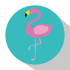 exotic flamingo bird icon vector illustration design