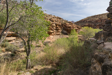 Tonto Trail at Grand Canyon National Park, Arizona, USA