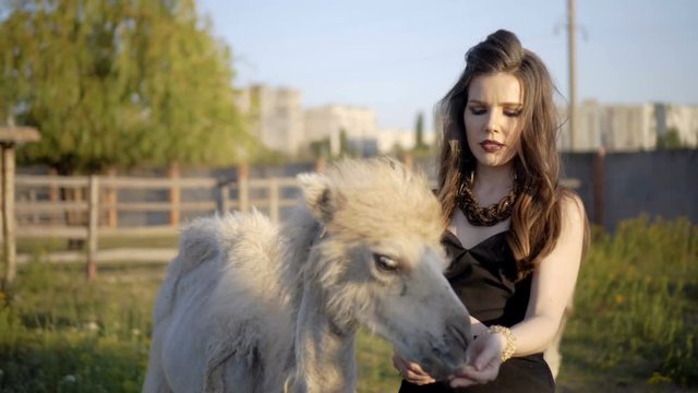 Young woman interacts with animals
