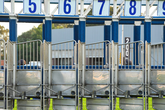 Horse Racing Barriers