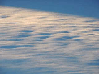 朝日を浴びる積もった雪
