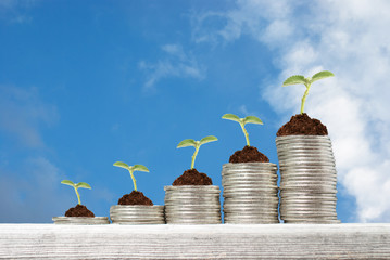 Business concept with stacks of coins with growing plants against blue sky background