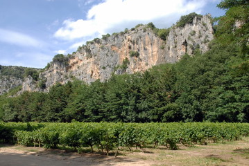Fototapeta na wymiar Montagne de l'Ardèche et vignes, département de l'Ardèche, France