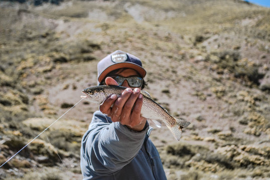 fly fishing chile